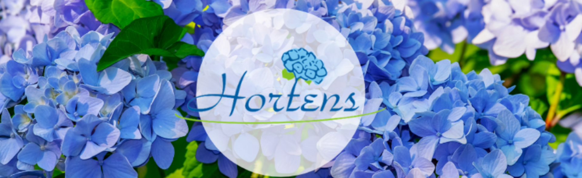 candle manufacturer wholesalers of artificial flowers gypsum figures Poland